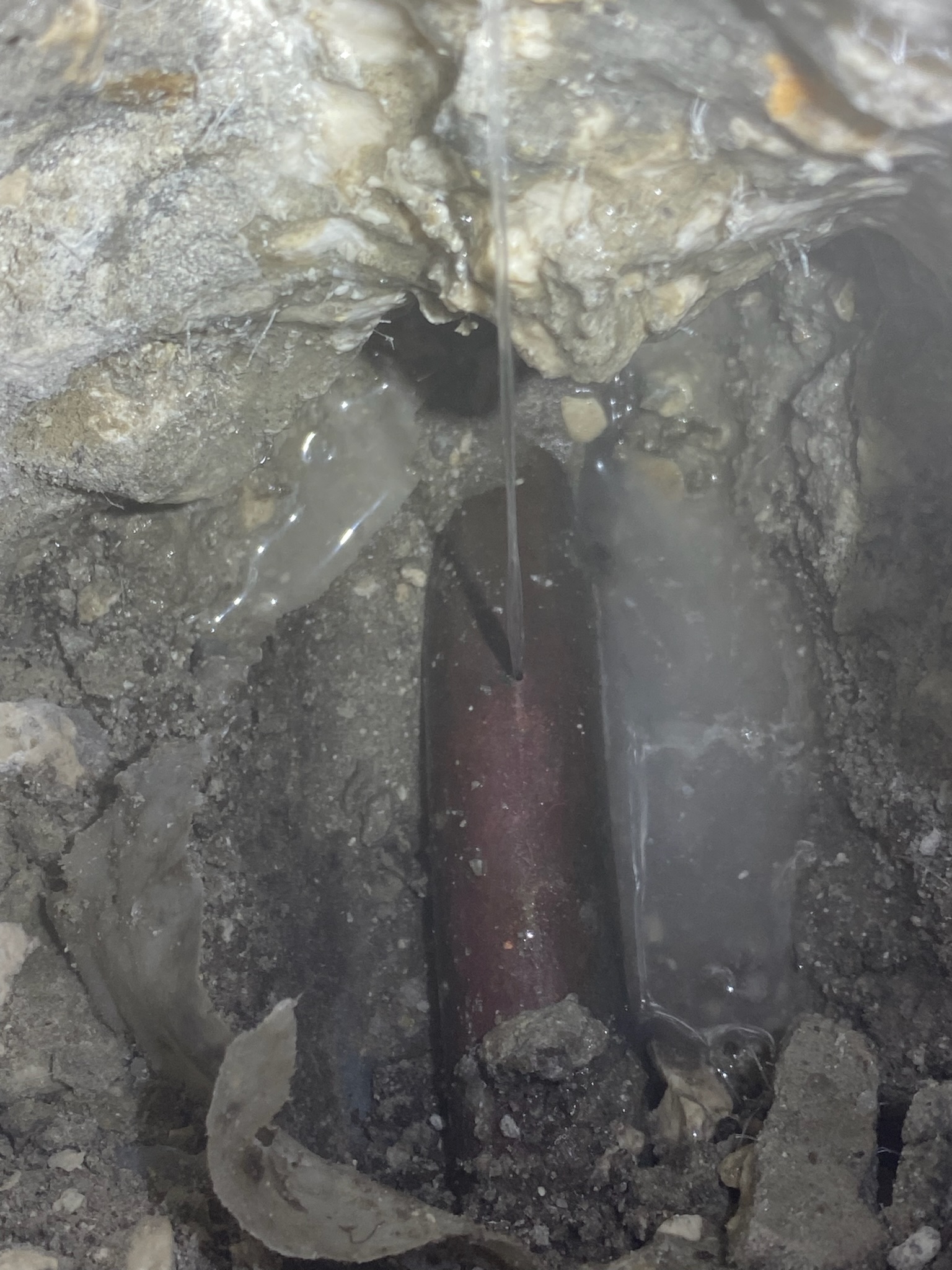 copper pipe leak